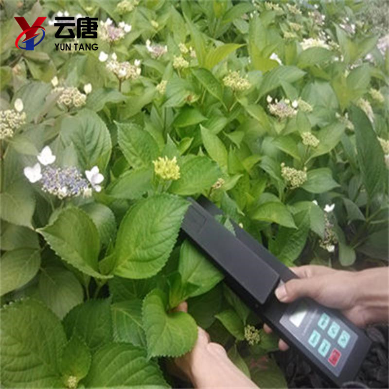 葉面積測(cè)定儀 葉面積測(cè)定儀