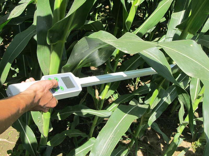 植物冠層測(cè)定儀 植物冠層測(cè)定儀