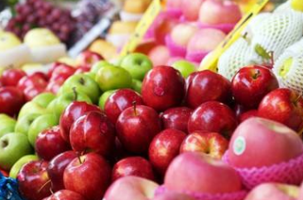 果蔬呼吸測(cè)定儀 果蔬呼吸測(cè)定儀